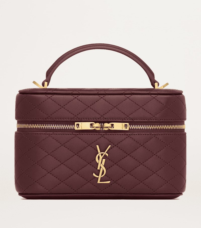 Saint Laurent gaby vanity bag in lambskin