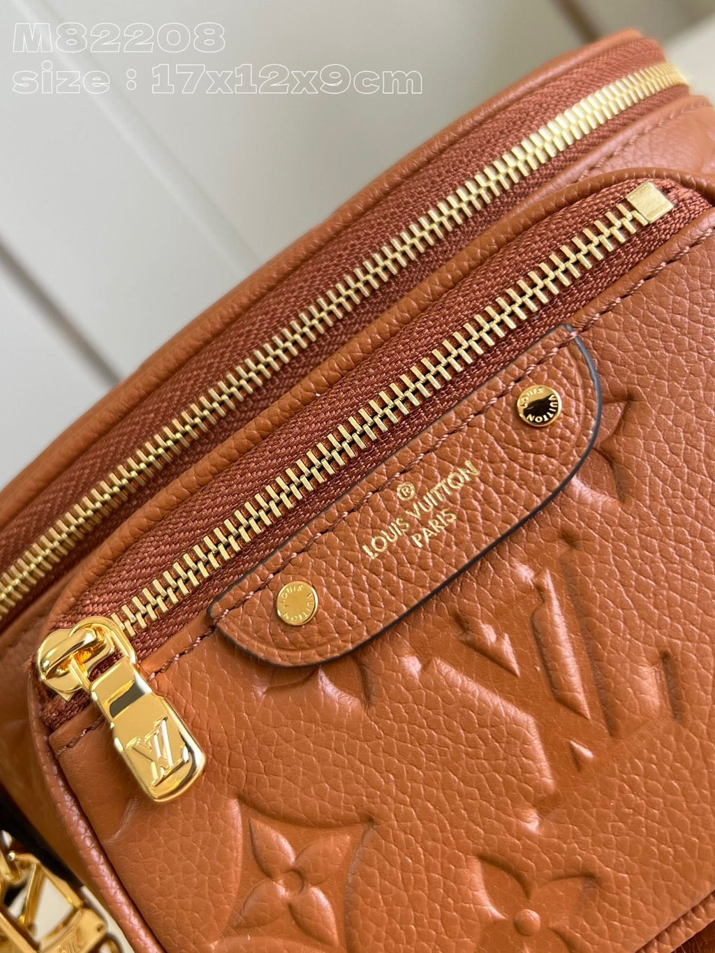 Louis Vuitton M12753 Mini Bumbag