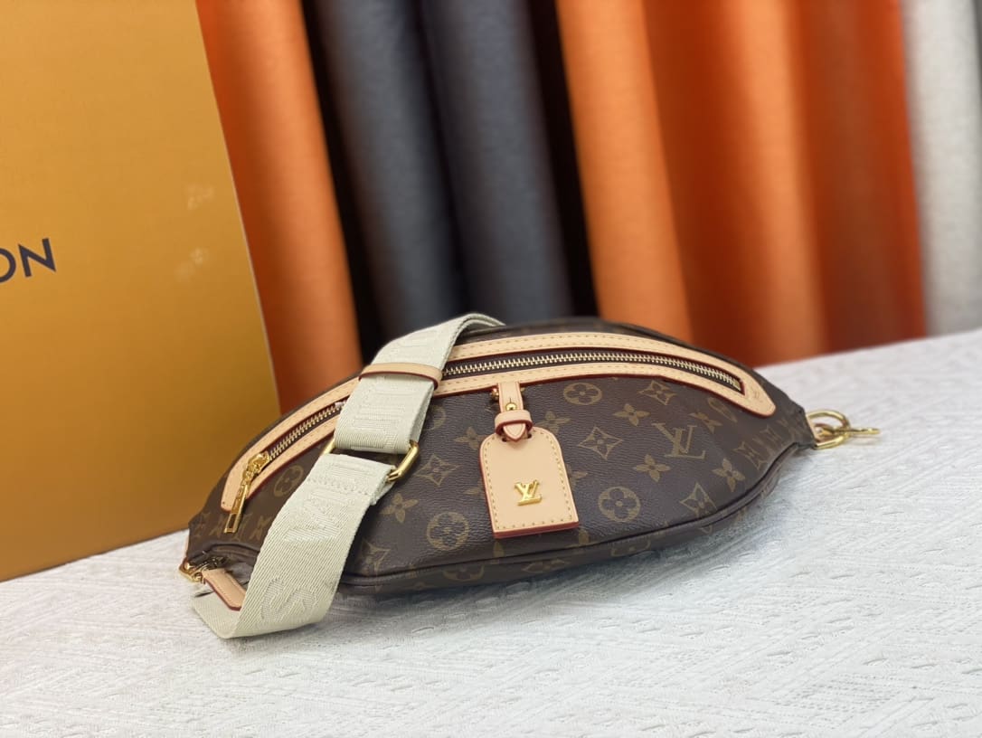 Louis Vuitton New Bumbag Monogram High Rise bag