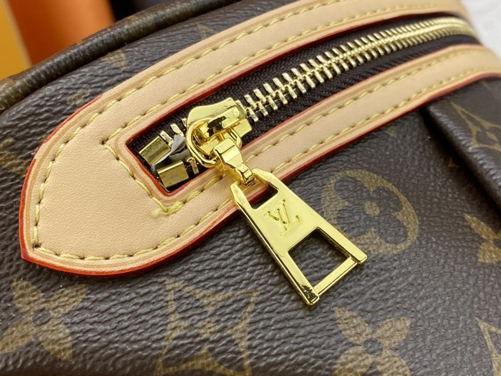 Louis Vuitton New Bumbag Monogram High Rise bag