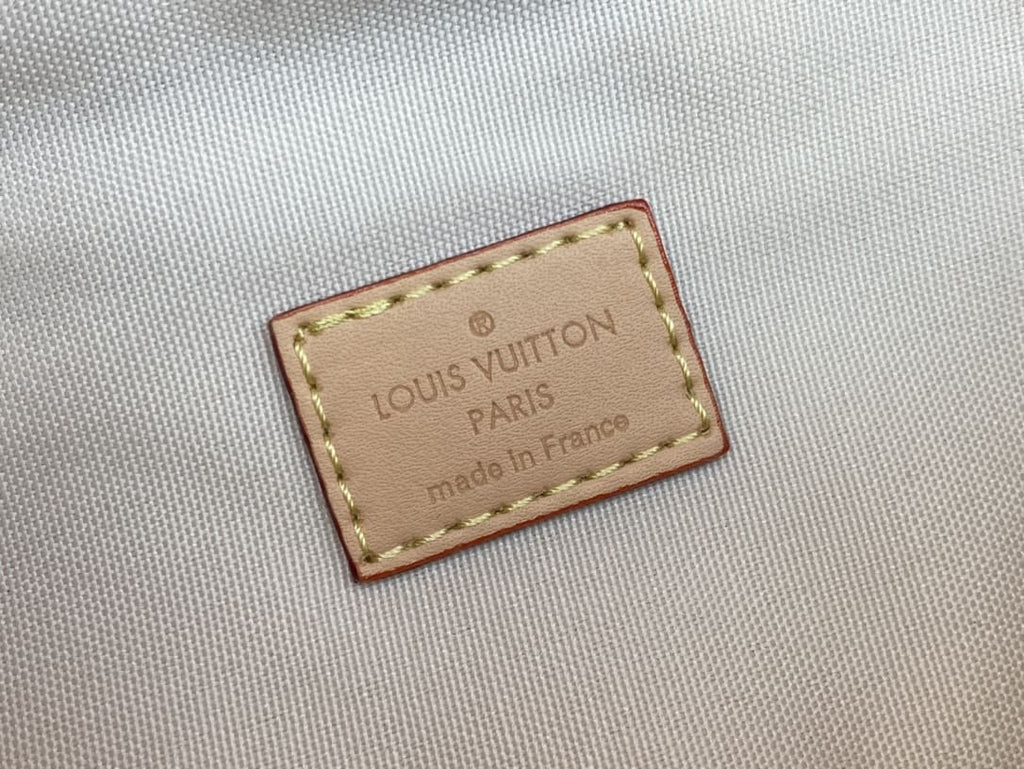 Louis Vuitton New Bumbag Monogram High Rise bag