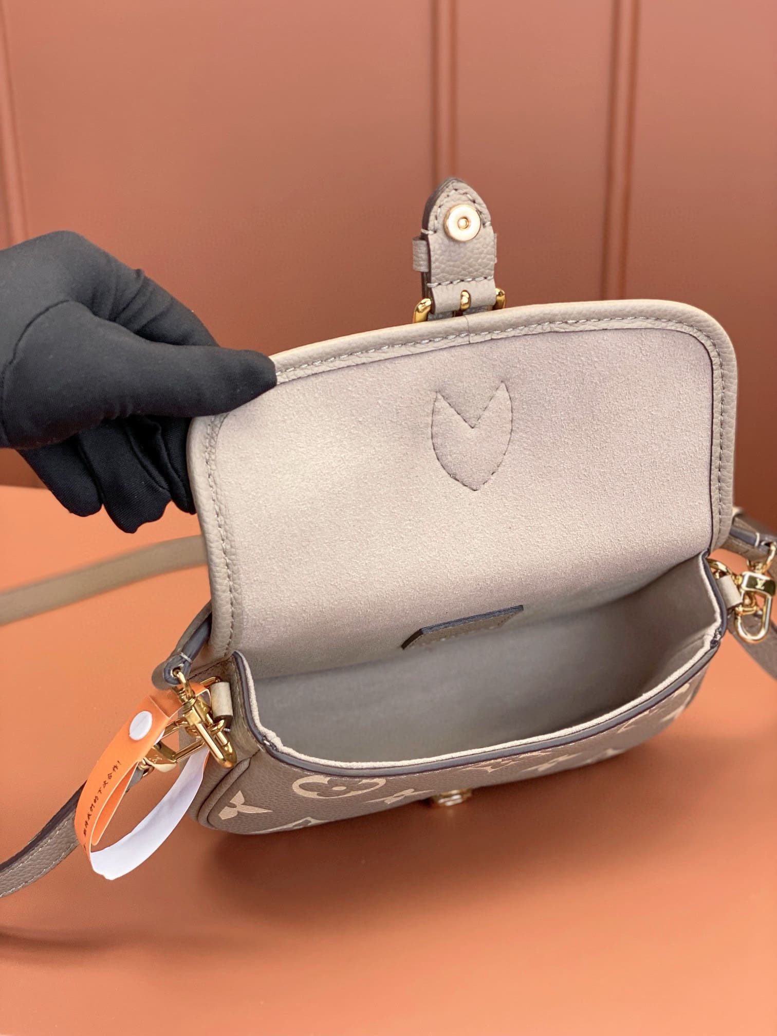 Louis Vuitton M83300 Nano Diane