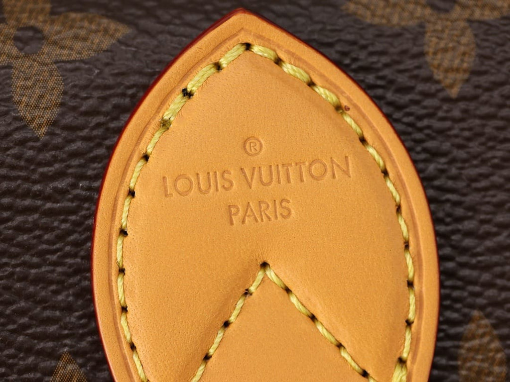 Louis Vuitton M83298 Nano Diane