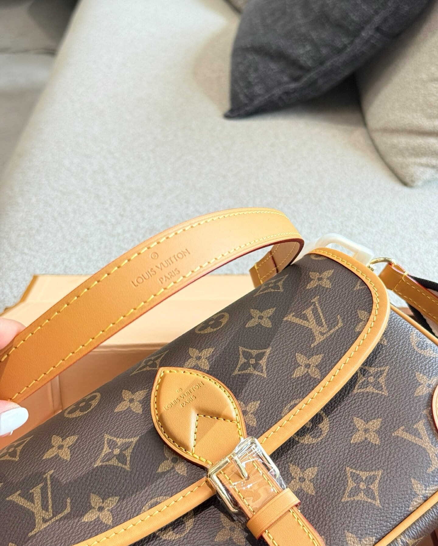 Louis Vuitton M45985 Diane