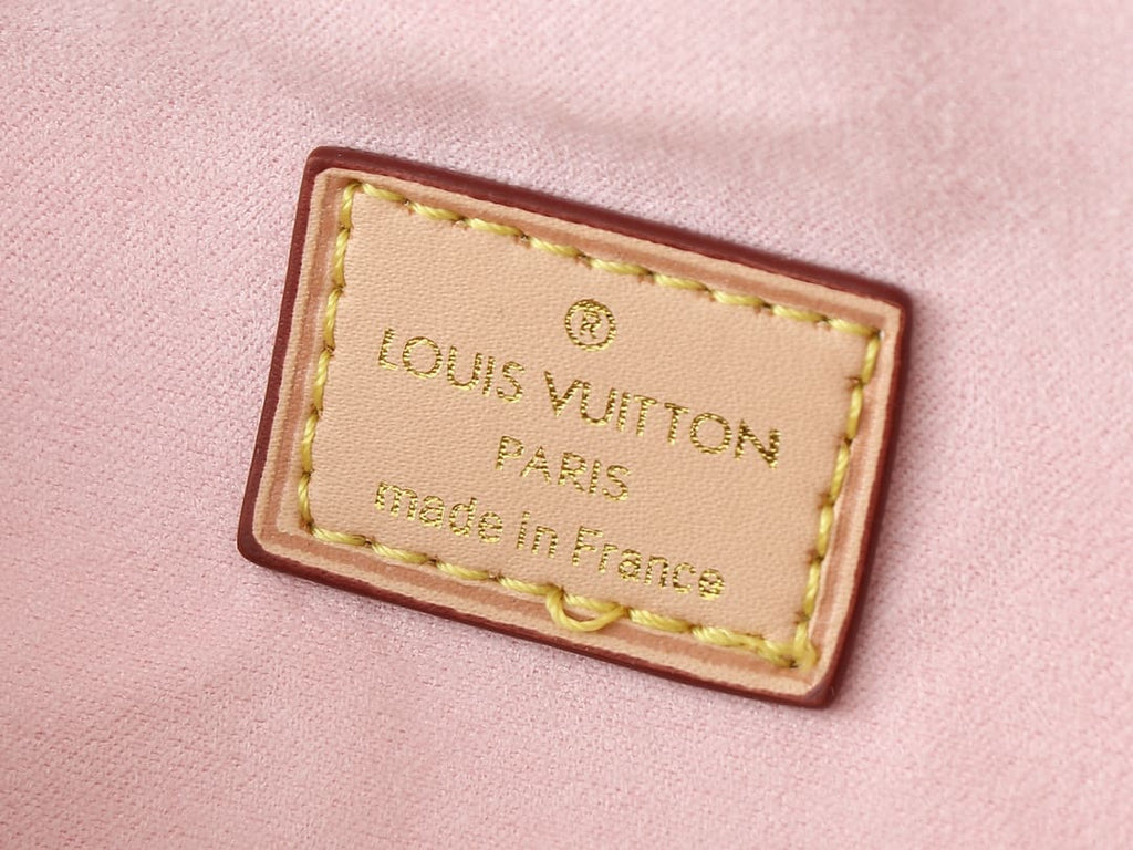 Louis Vuitton N00130 Mini Bumbag