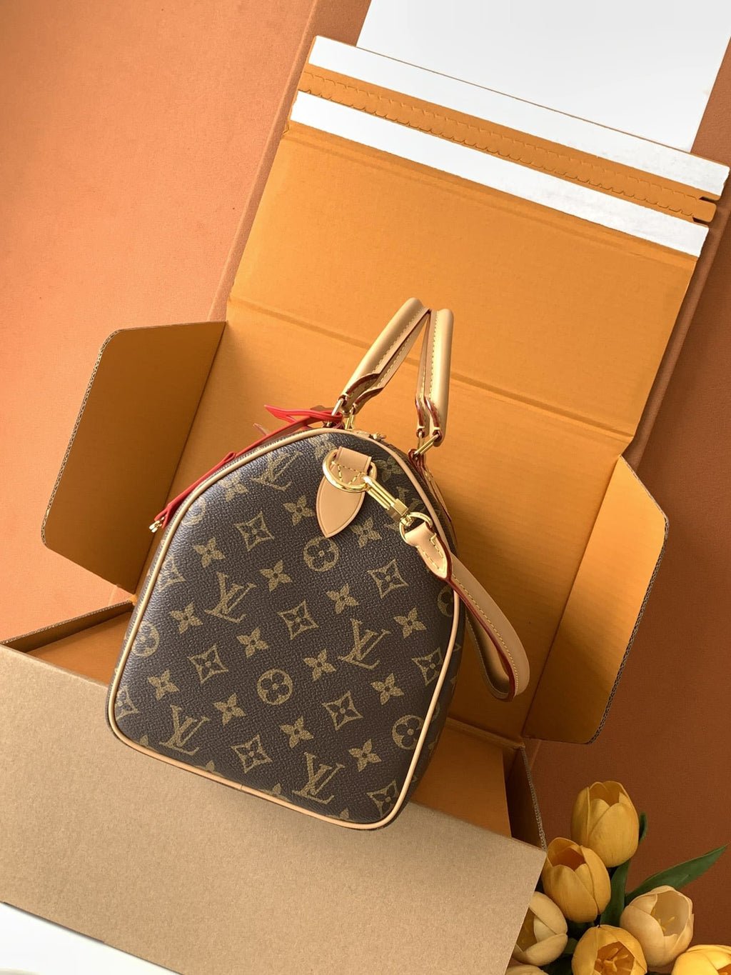 LOUIS VUITTON M11945 Speedy Soft 30 Crafty