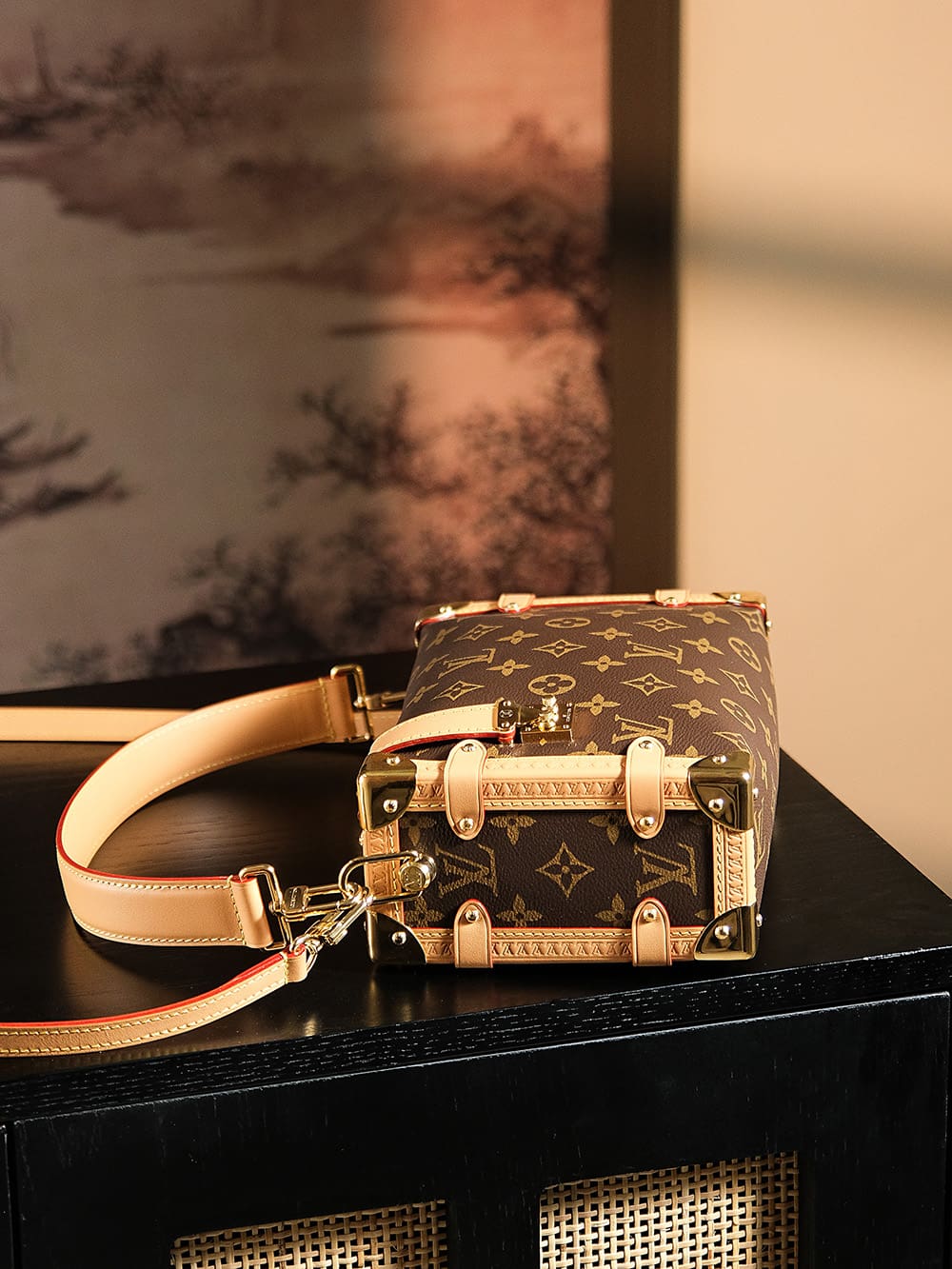 Louis Vuitton M46358 Side Trunk MM