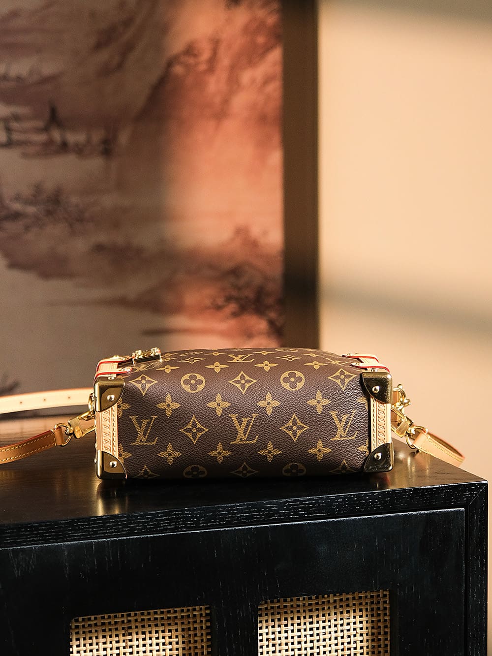 Louis Vuitton M46358 Side Trunk MM