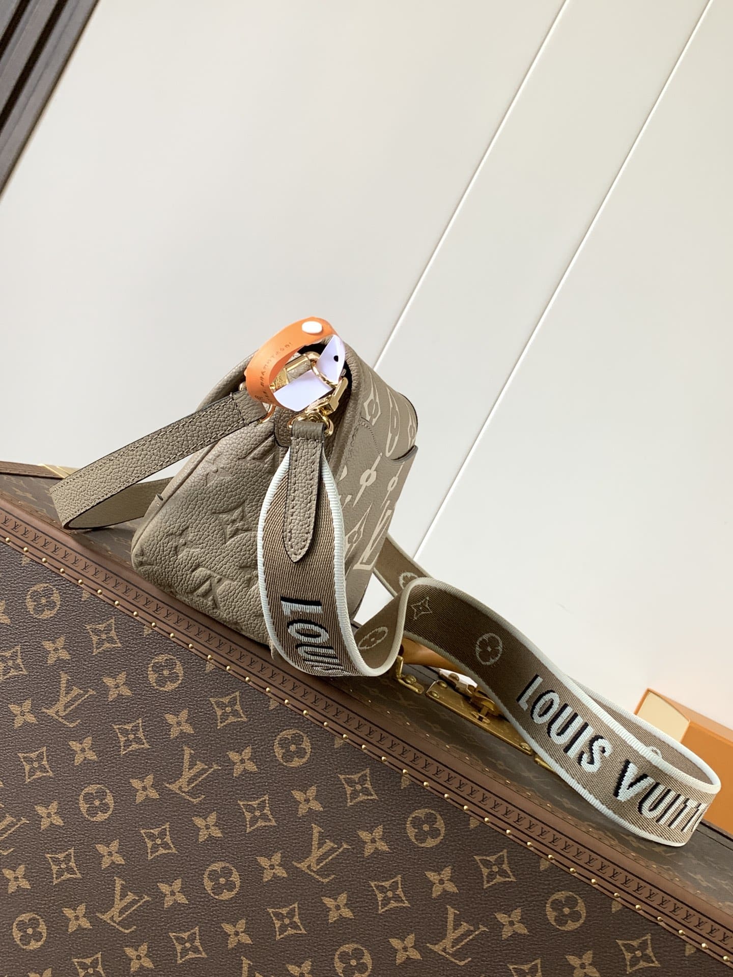 Louis Vuitton M46583 Diane