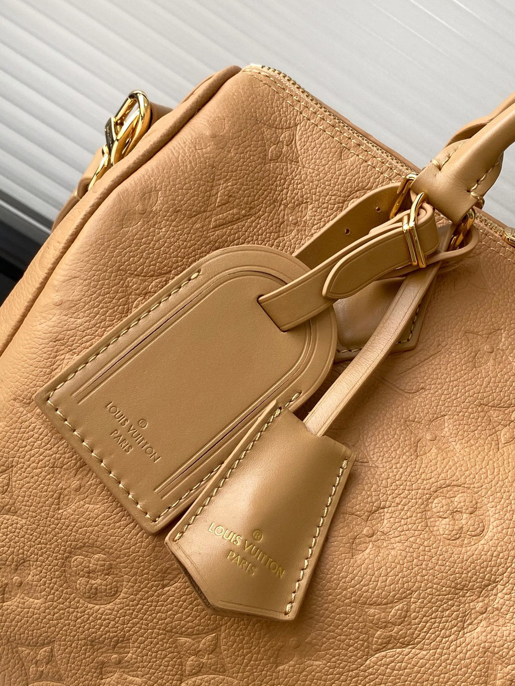 Louis Vuitton M11323 Speedy Soft 30