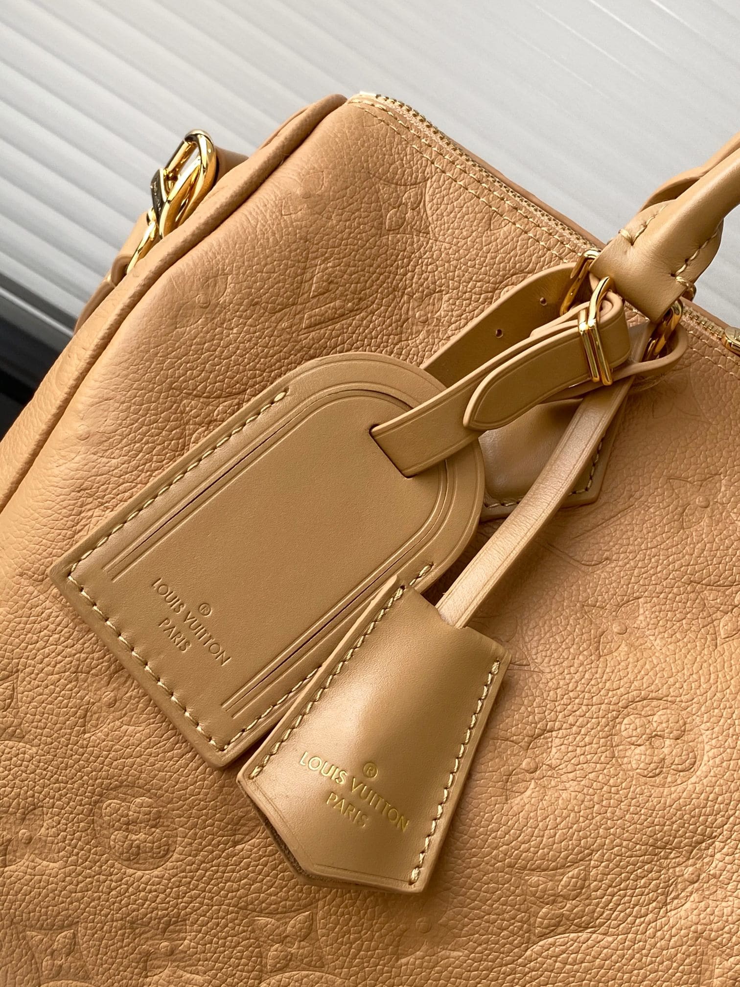 Louis Vuitton M11323 Speedy Soft 30