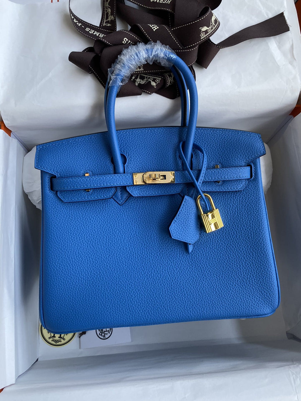 Hermès Birkin 25 Blue Zellige Togo Gold Hardware