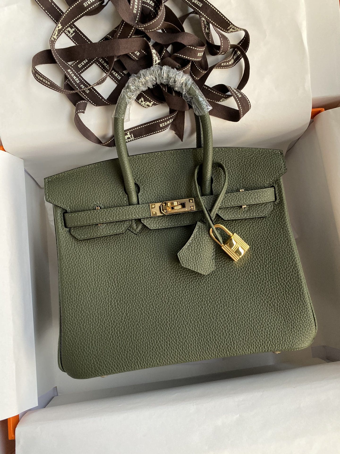 HERMÈS VERT MAQUIS TOGO LEATHER BIRKIN 25 WITH GOLD HARDWARE