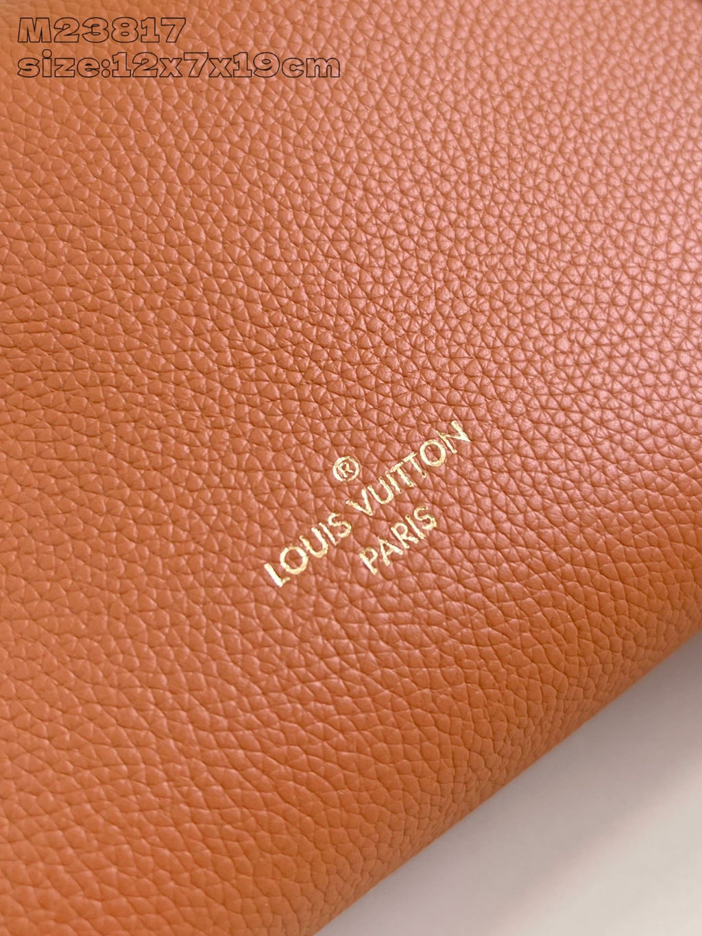 LOUIS VUITTON M23818 Side Trunk PM