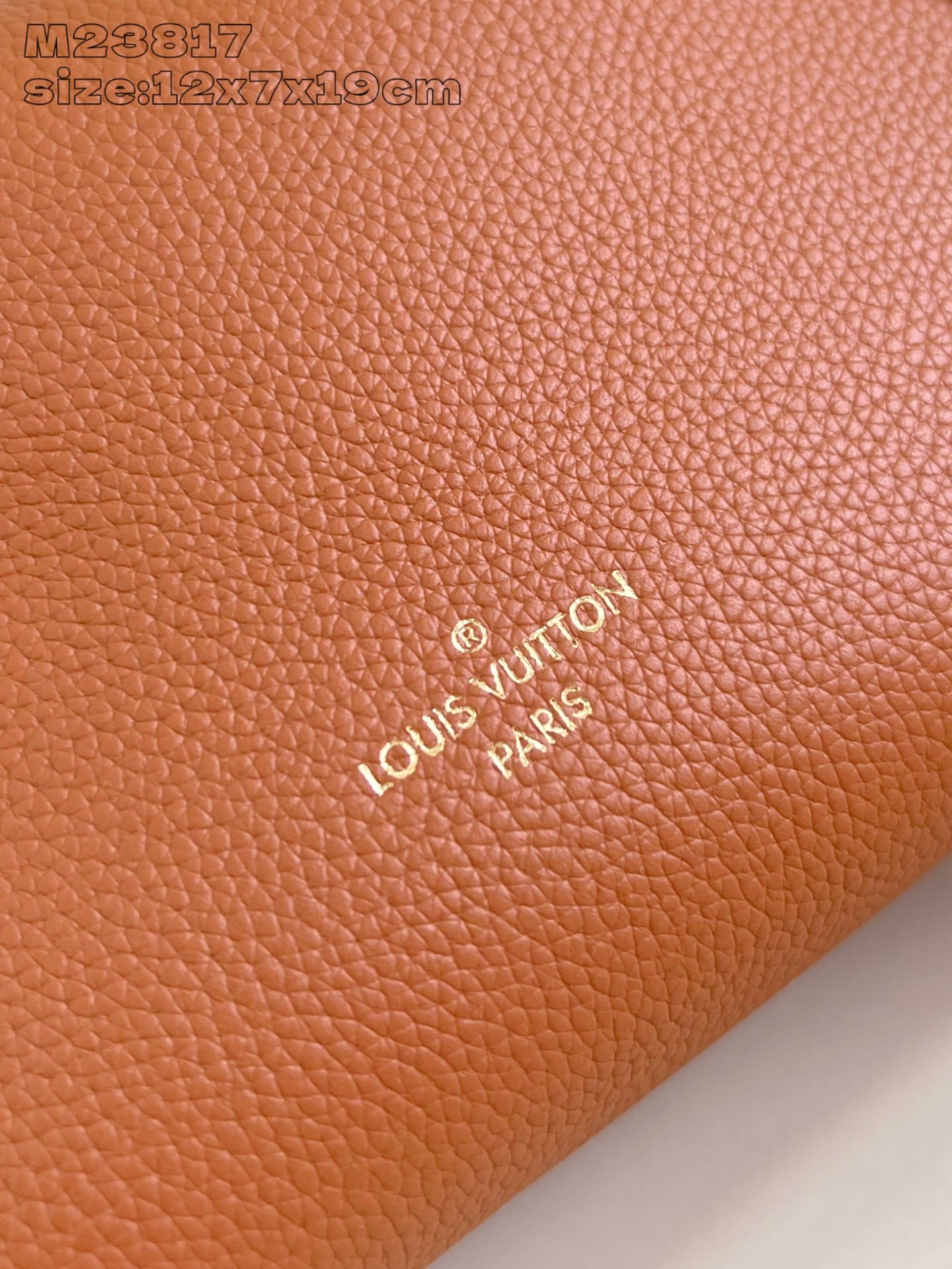 LOUIS VUITTON M23818 Side Trunk PM
