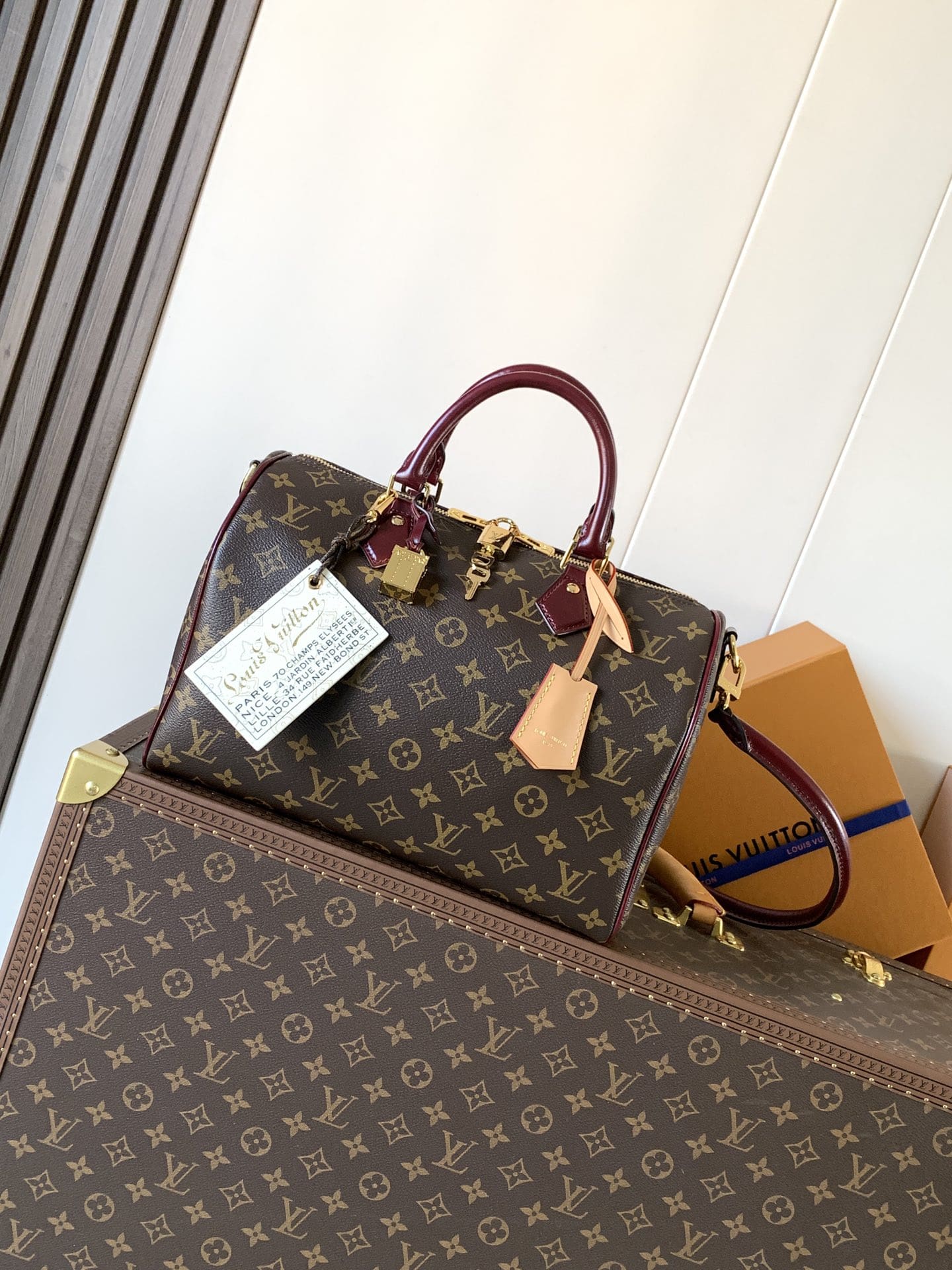 LOUIS VUITTON M28379 Speedy 30 Soft Celebration