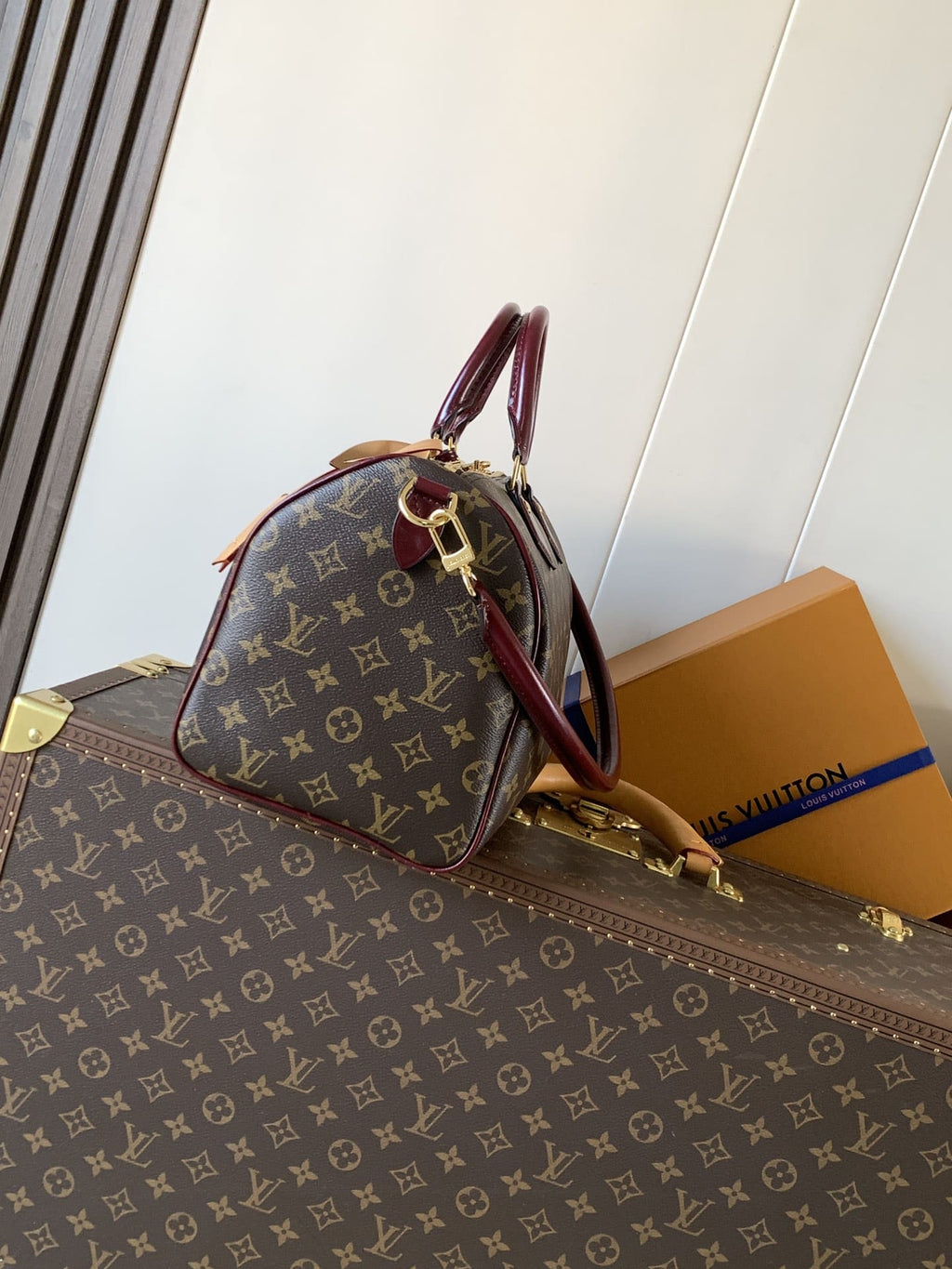 LOUIS VUITTON M28379 Speedy 30 Soft Celebration