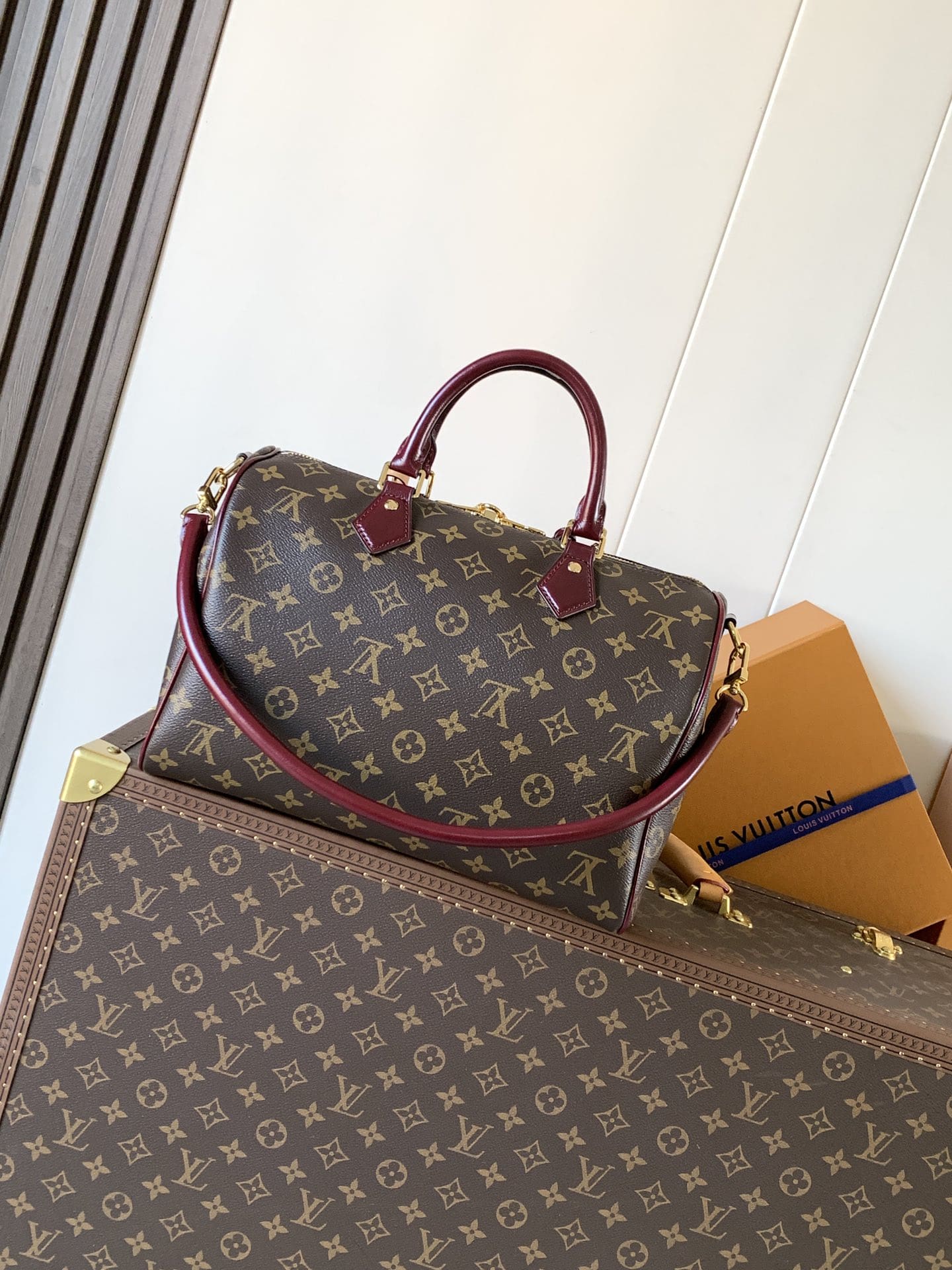 LOUIS VUITTON M28379 Speedy 30 Soft Celebration