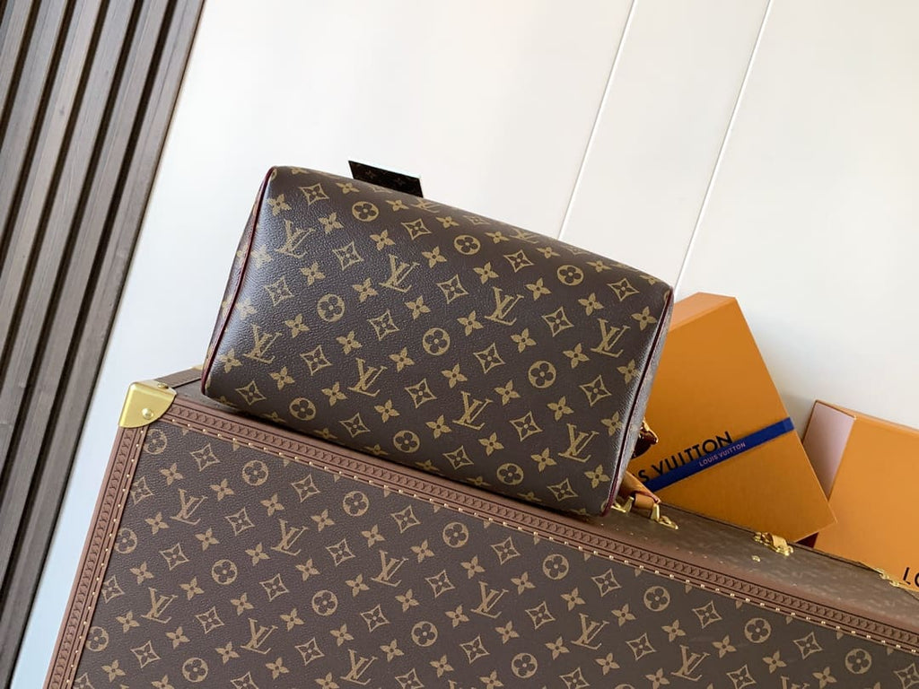 LOUIS VUITTON M28379 Speedy 30 Soft Celebration