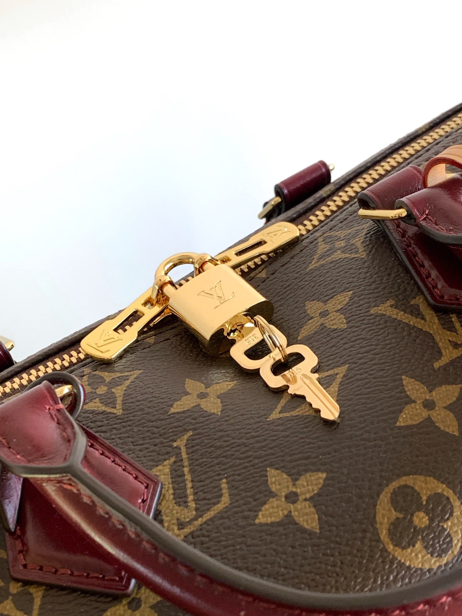 LOUIS VUITTON M28379 Speedy 30 Soft Celebration