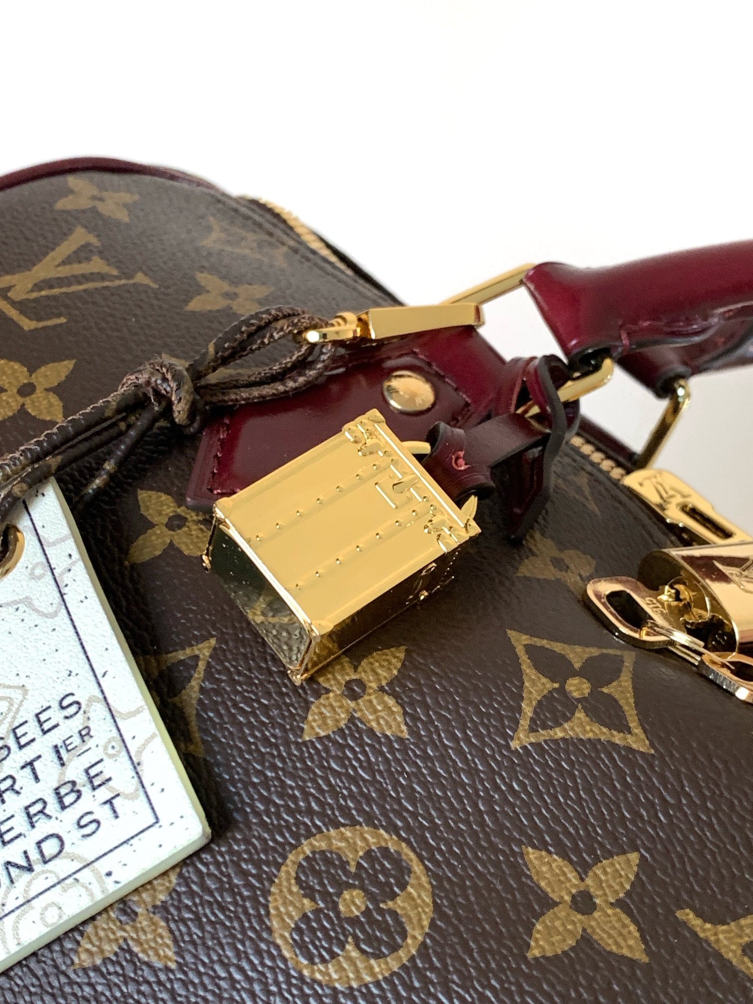 LOUIS VUITTON M28379 Speedy 30 Soft Celebration