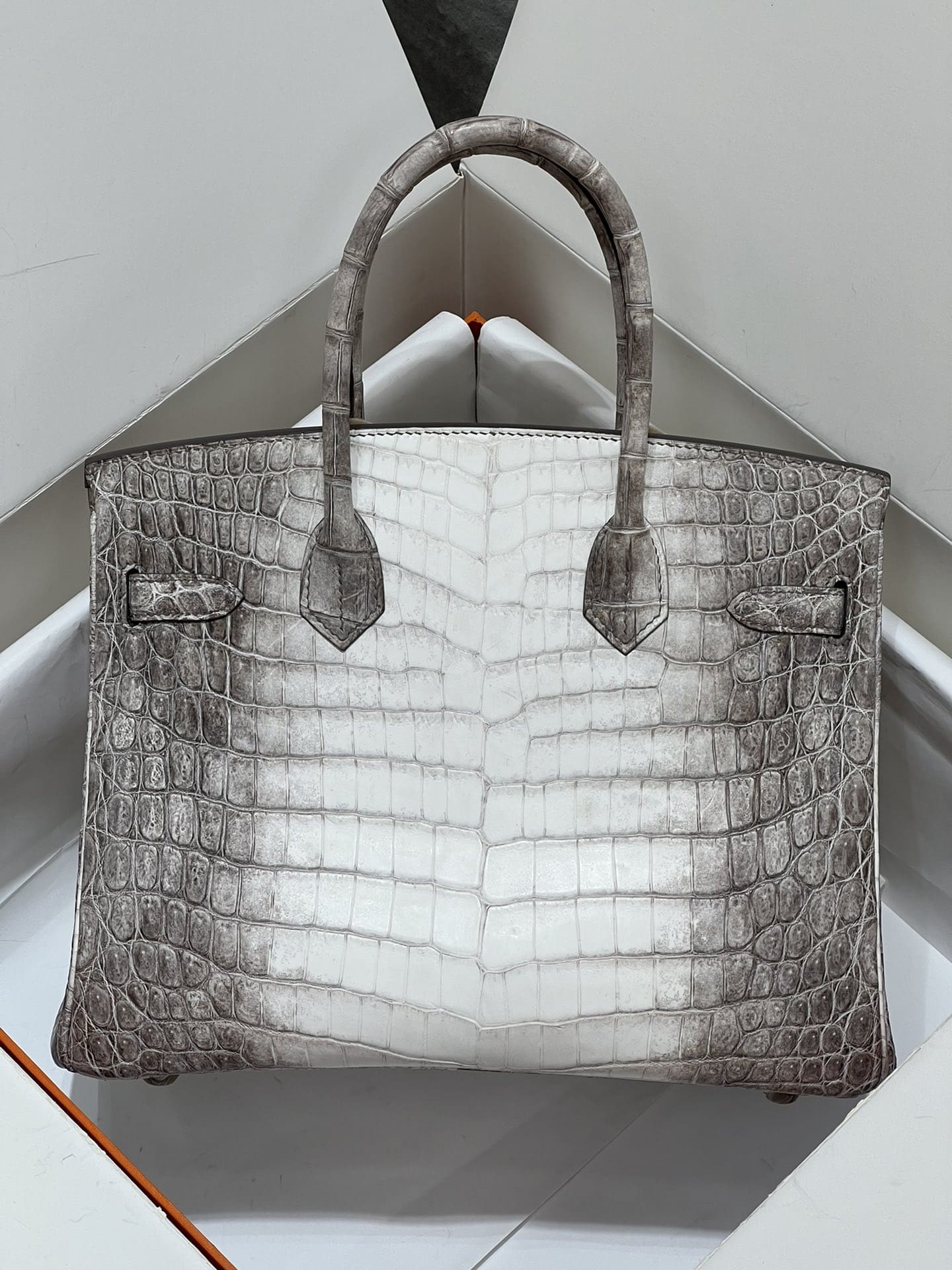 Hermès Birkin 30 Himalaya Crocodylus Niloticus