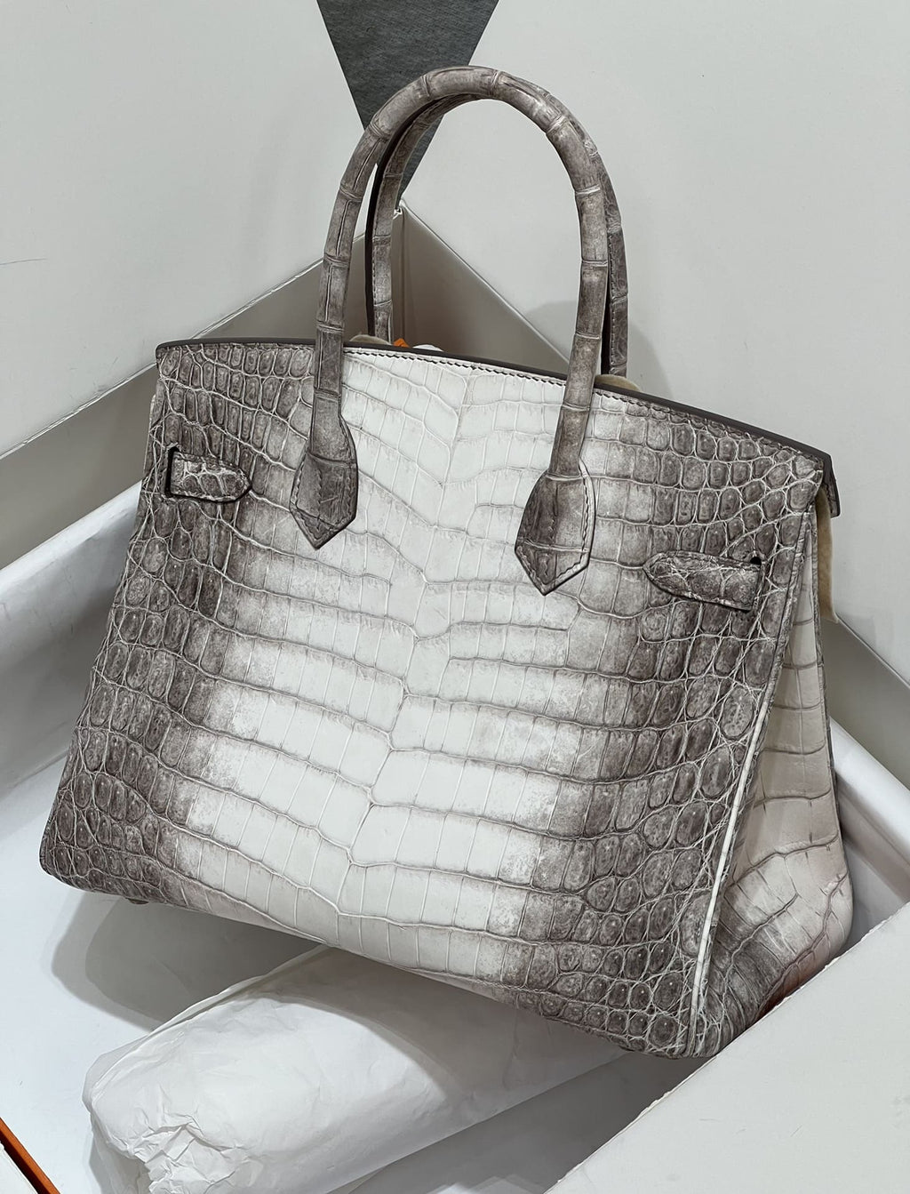 Hermès Birkin 30 Himalaya Crocodylus Niloticus