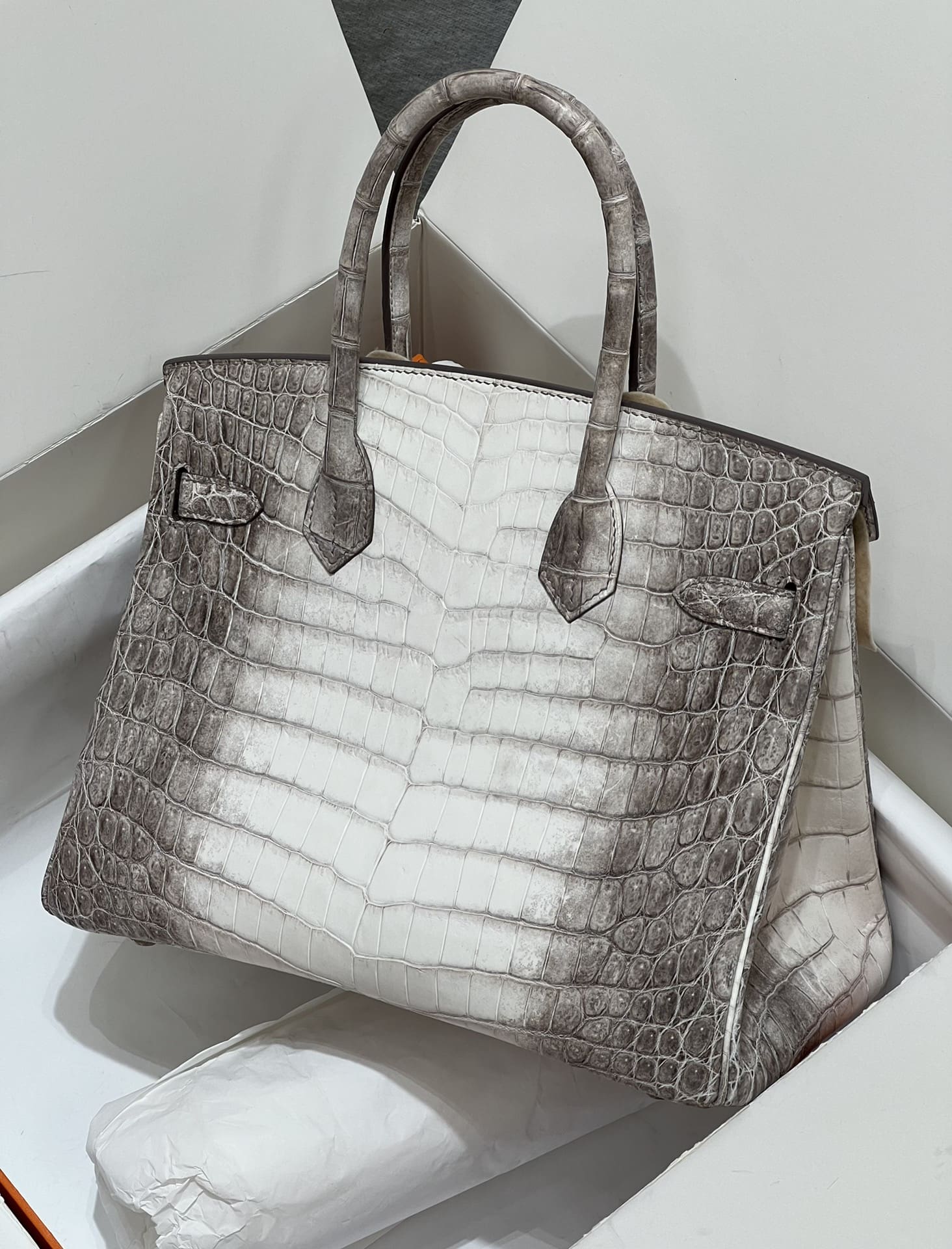 Hermès Birkin 30 Himalaya Crocodylus Niloticus