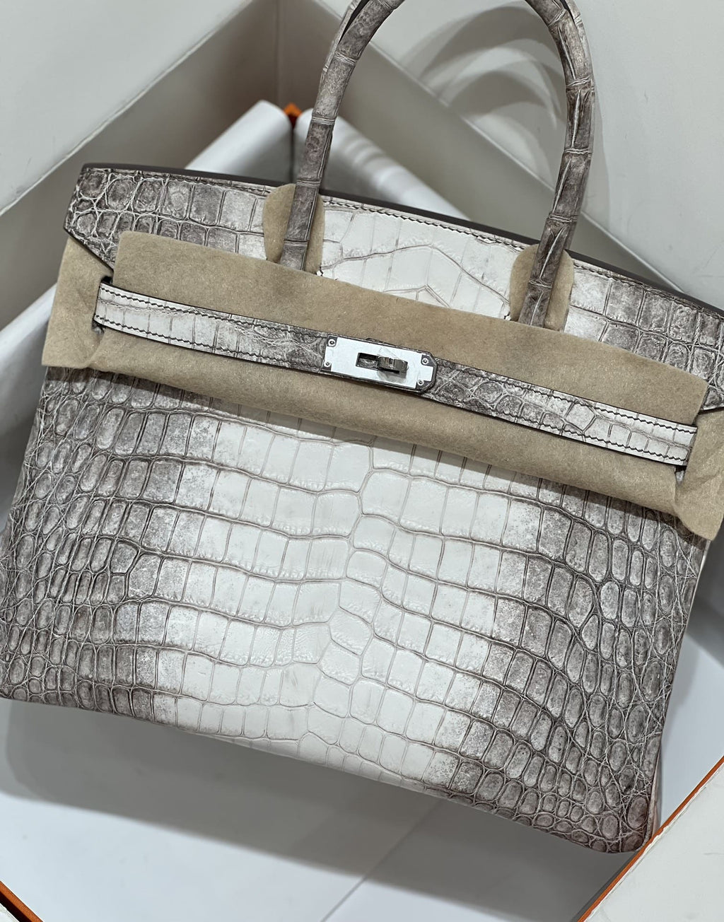 Hermès Birkin 30 Himalaya Crocodylus Niloticus