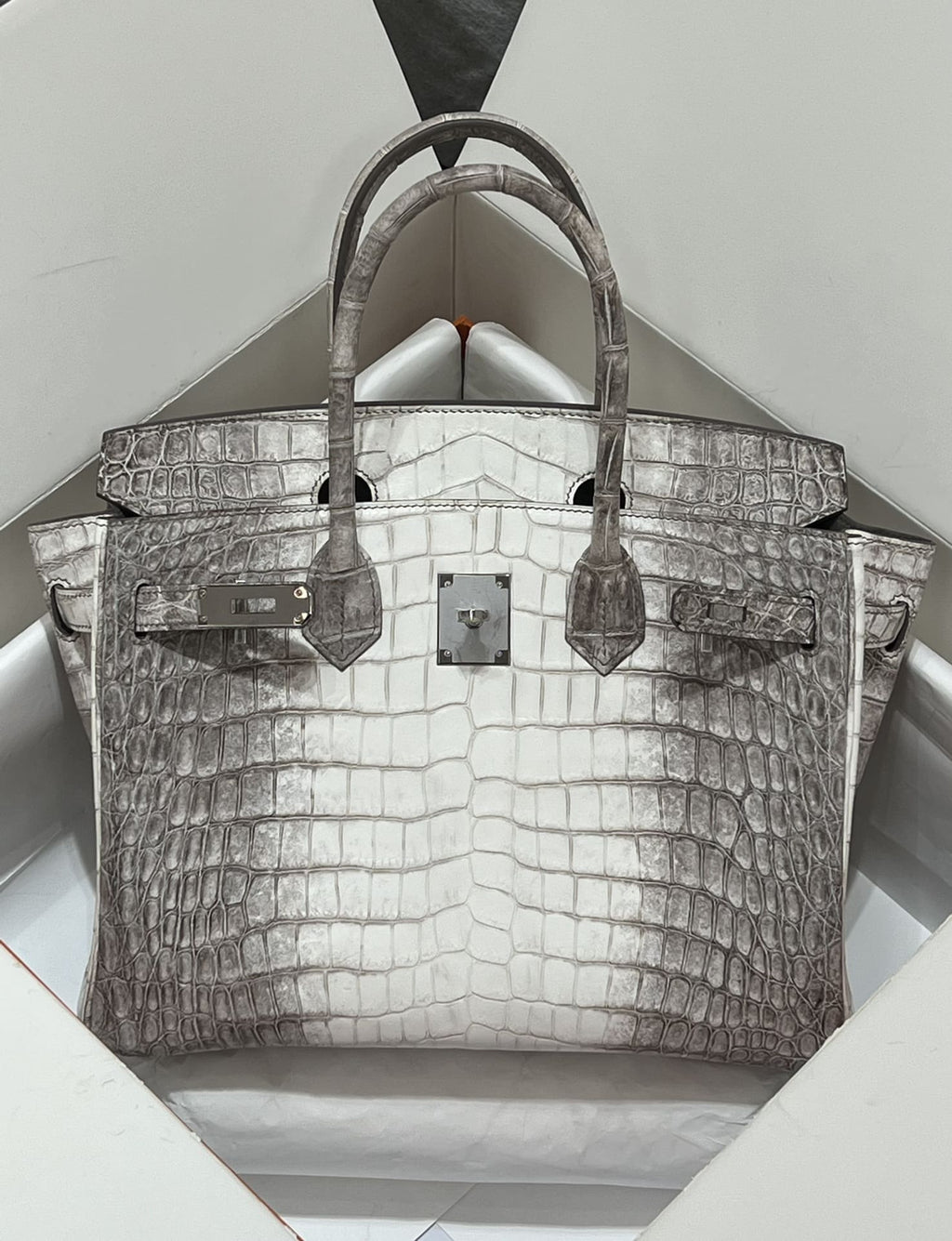 Hermès Birkin 30 Himalaya Crocodylus Niloticus