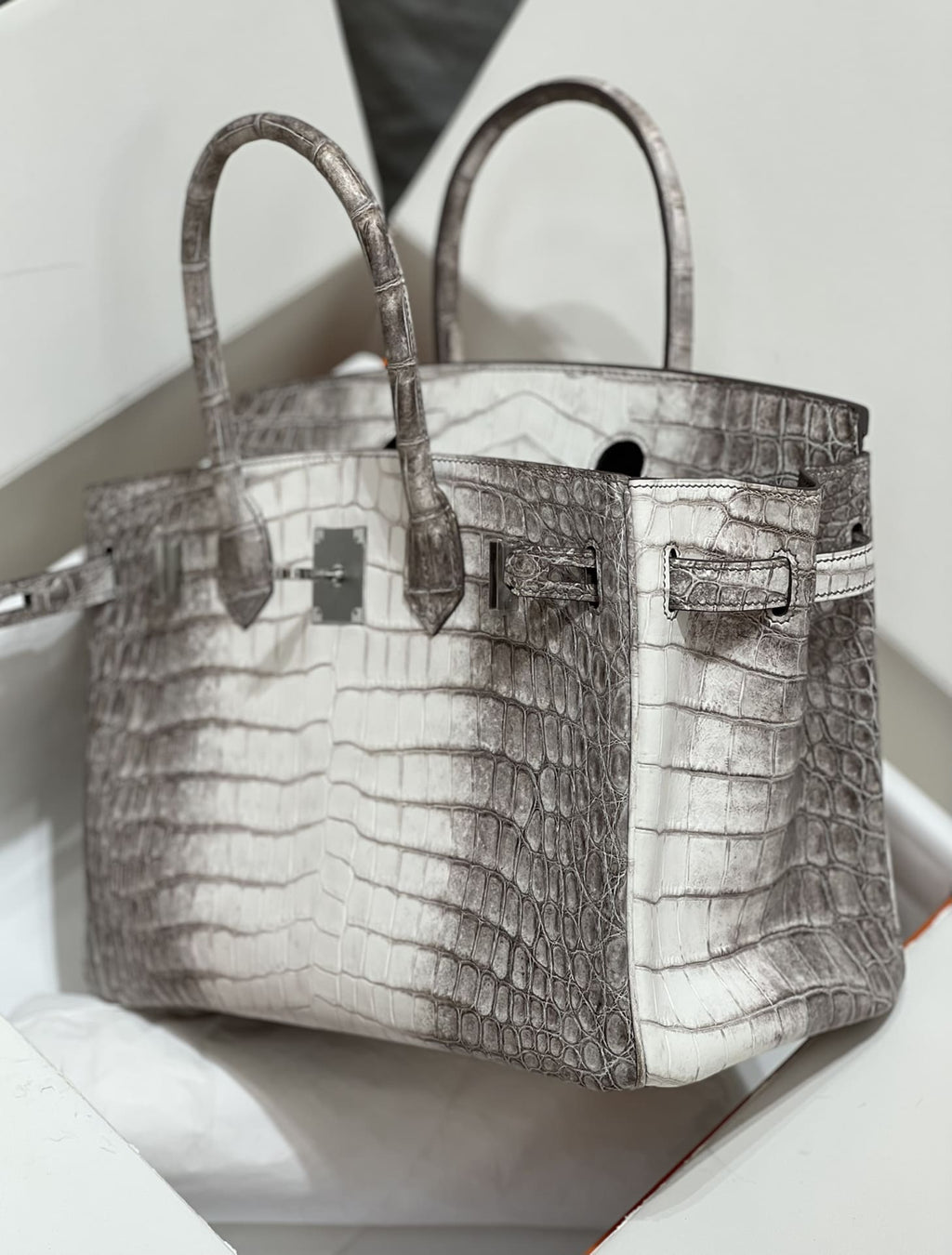 Hermès Birkin 30 Himalaya Crocodylus Niloticus