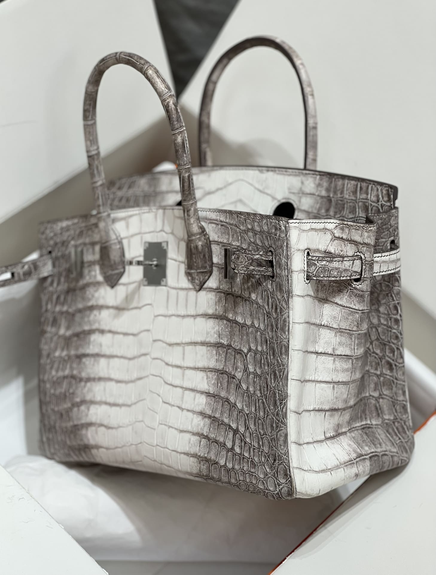 Hermès Birkin 30 Himalaya Crocodylus Niloticus