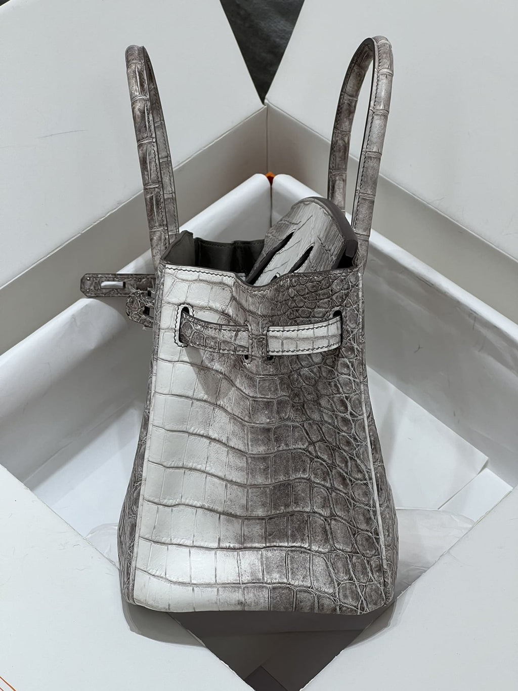Hermès Birkin 30 Himalaya Crocodylus Niloticus