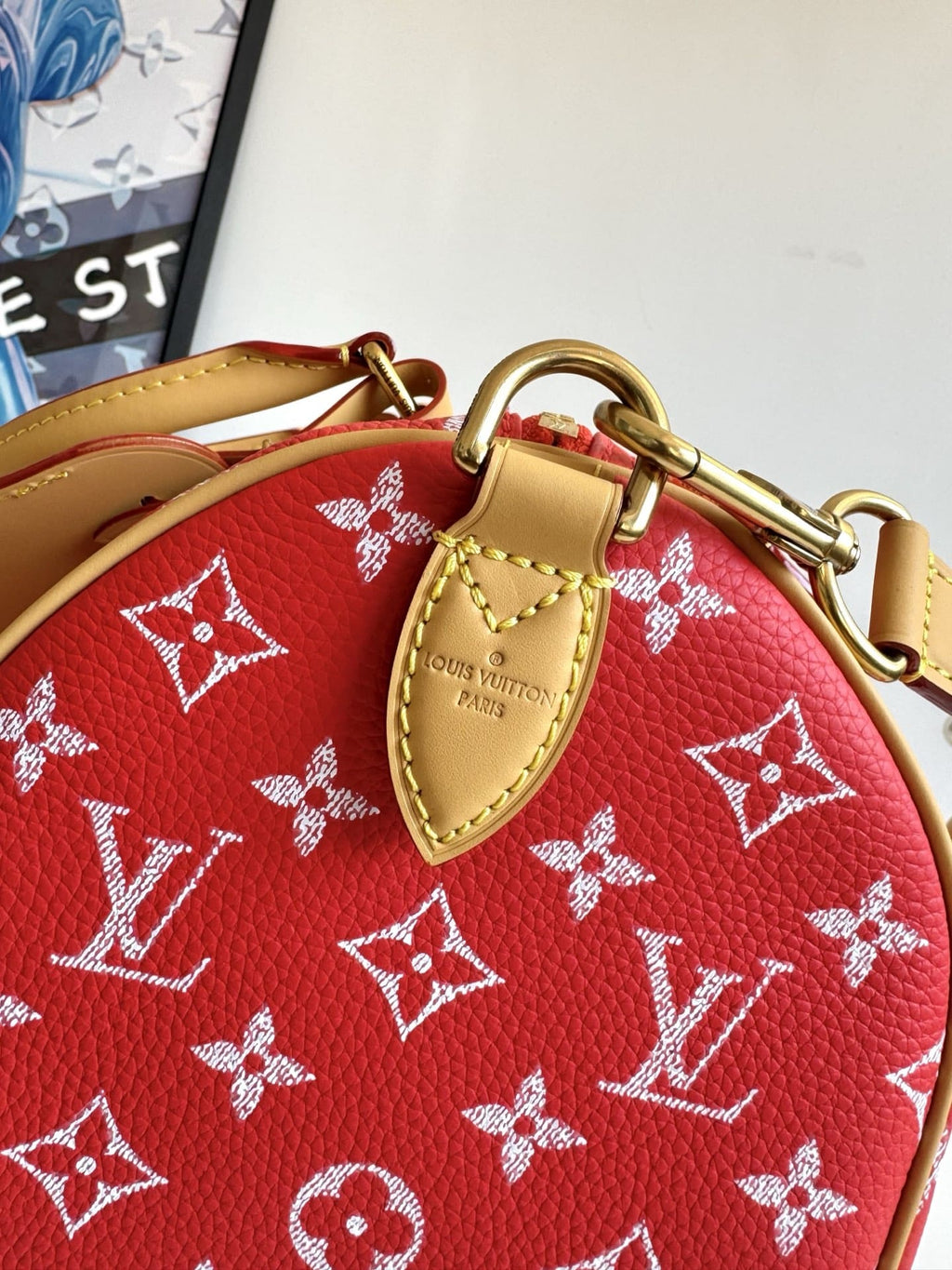 LOUIS VUITTON M14067 Speedy P9 Bandoulière 30