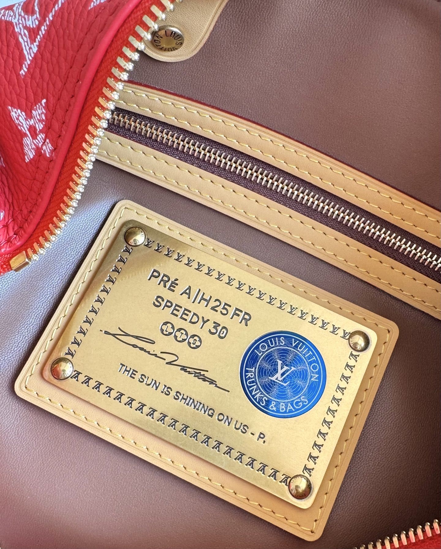 LOUIS VUITTON M14067 Speedy P9 Bandoulière 30