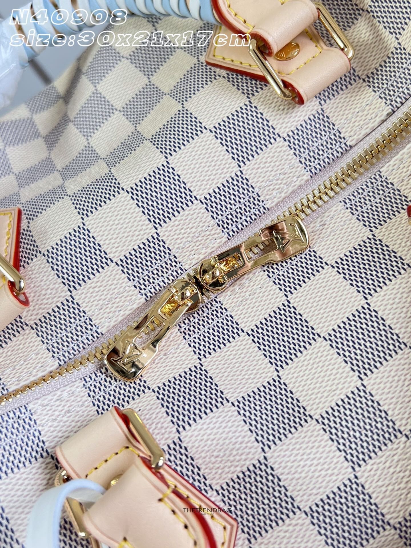LOUIS VUITTON N40908 Speedy 30 Soft
