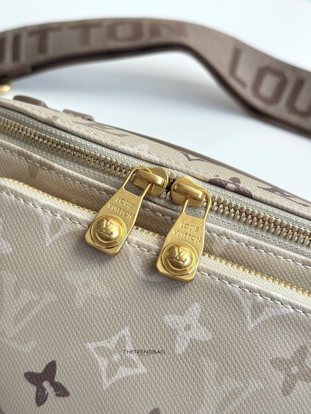 LOUIS VUITTON M29274 Rush Bumbag