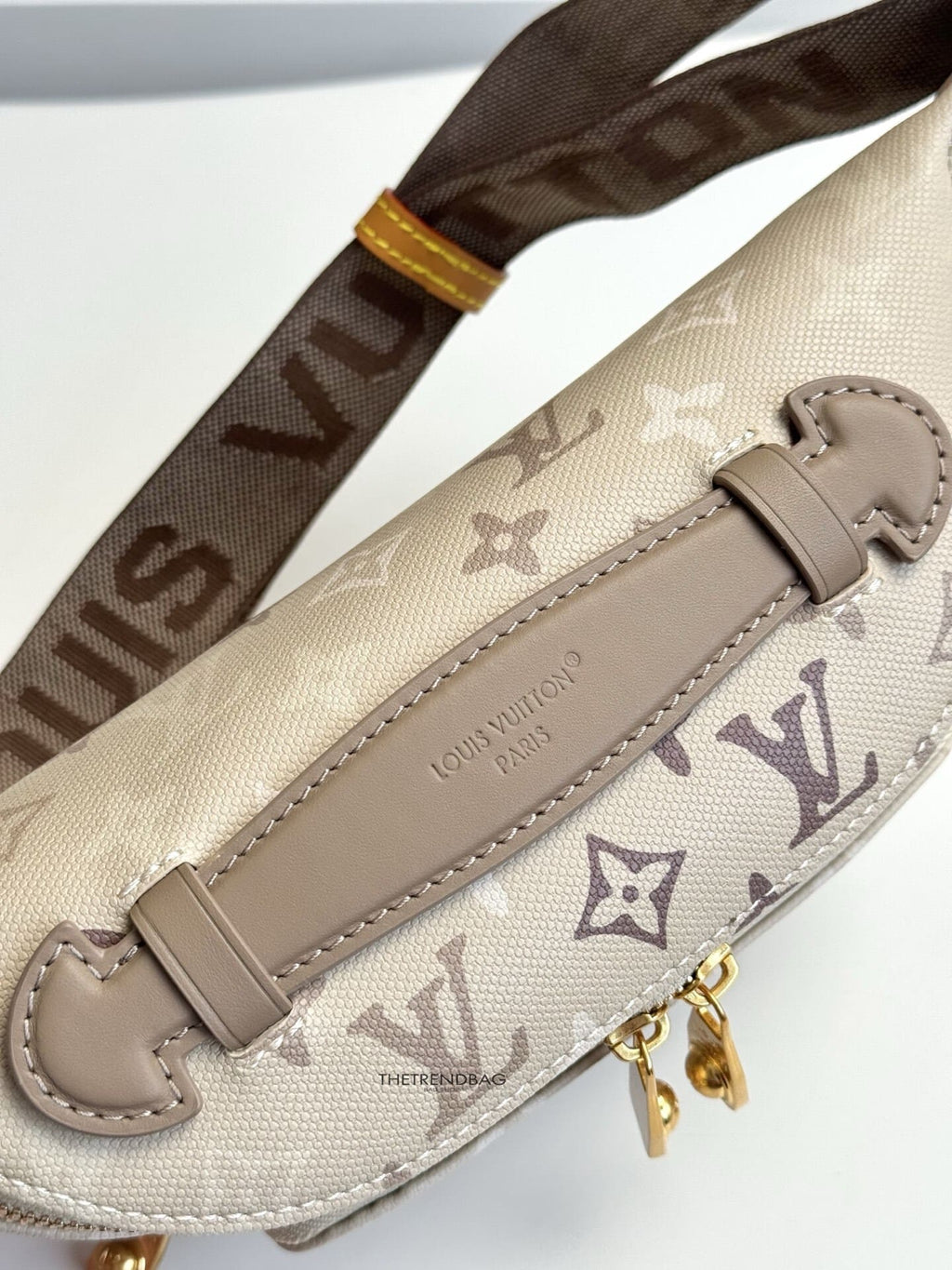 LOUIS VUITTON M29274 Rush Bumbag