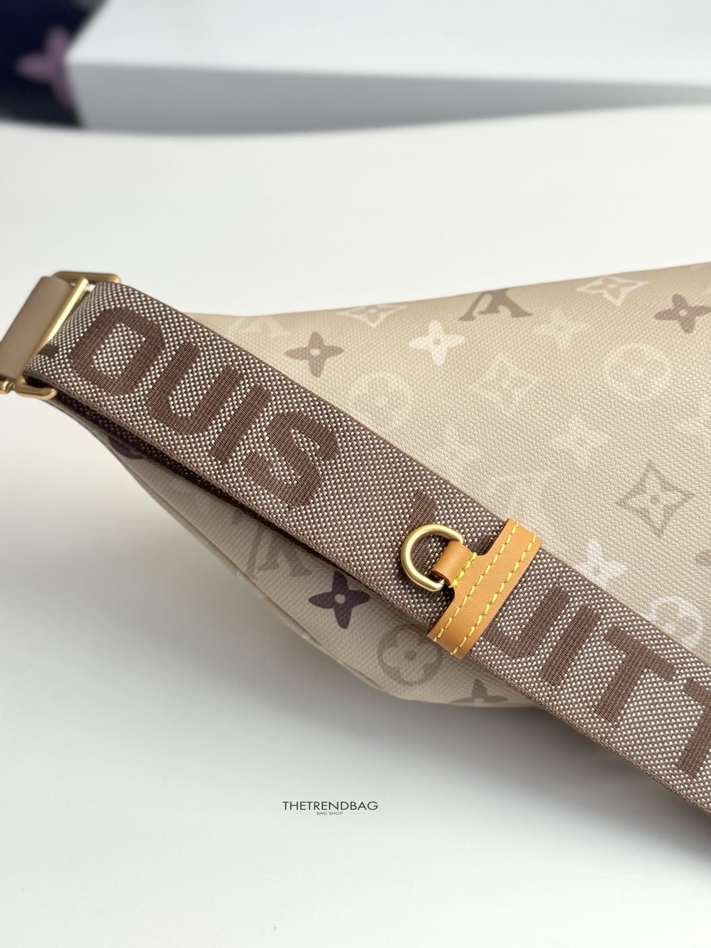 LOUIS VUITTON M29274 Rush Bumbag
