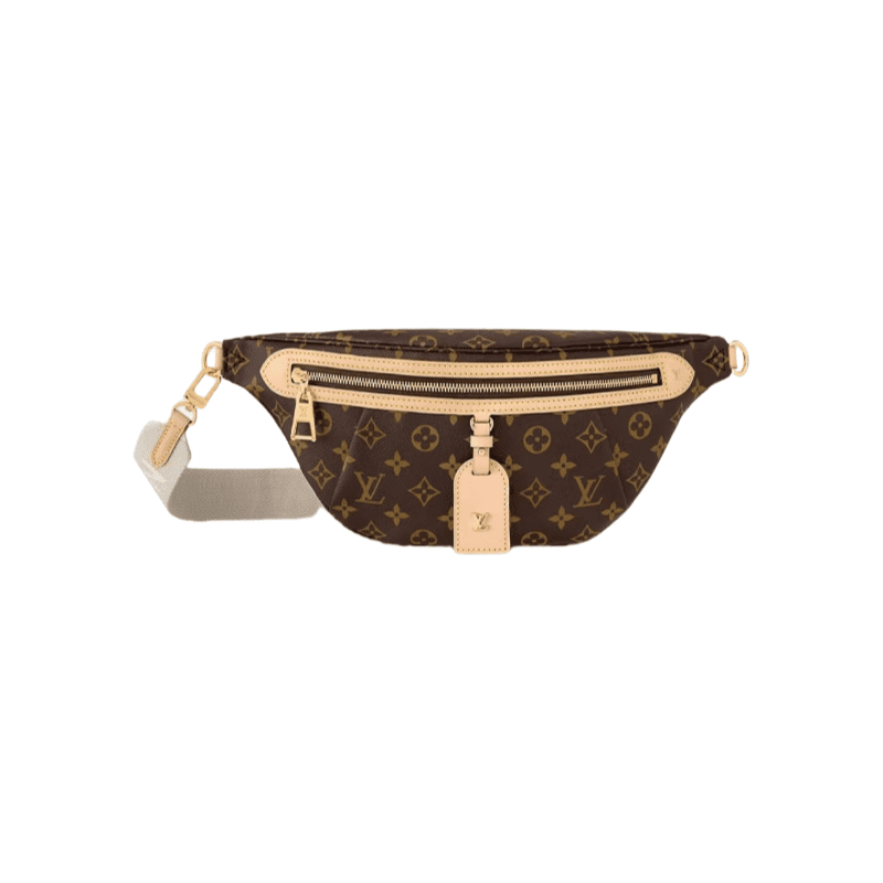 Louis Vuitton New Bumbag Monogram High Rise bag