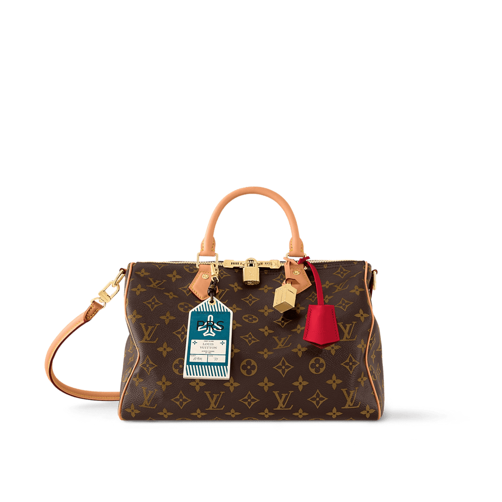 LOUIS VUITTON M11945 Speedy Soft 30 Crafty