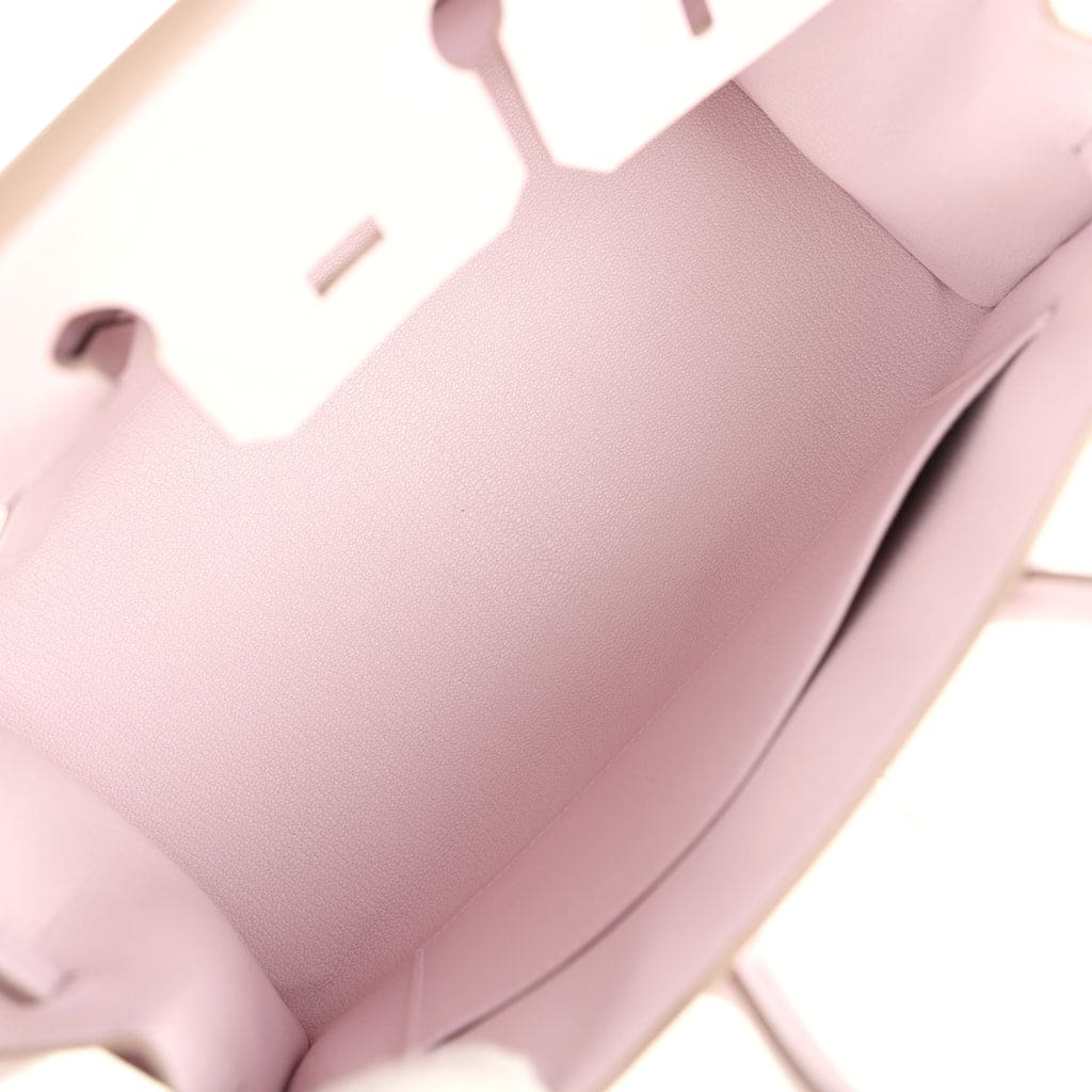 Hermès Birkin Sellier 25 Mauve Pale Epsom Palladium Hardware