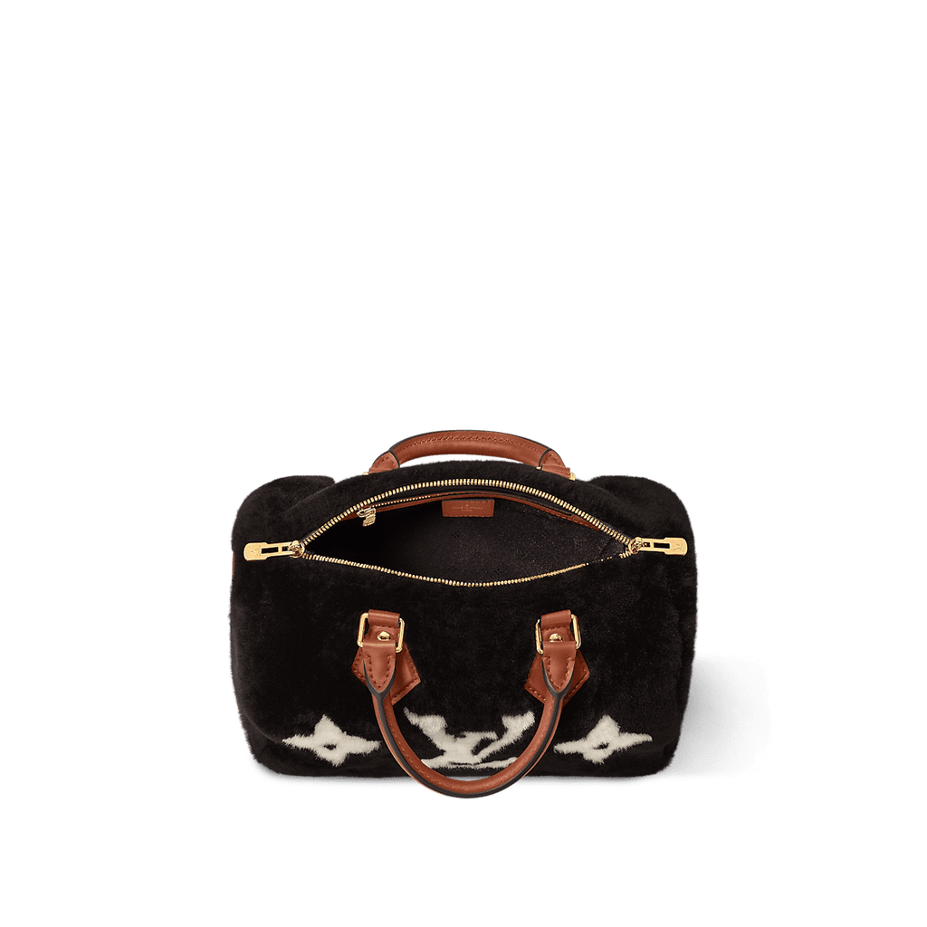 LOUIS VUITTON M11797 Speedy Bandoulière 25