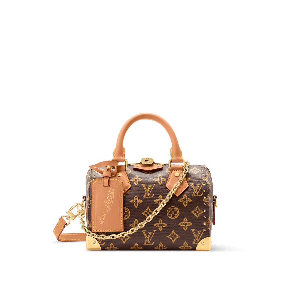 LOUIS VUITTON M28102 Speedy Trunk 20