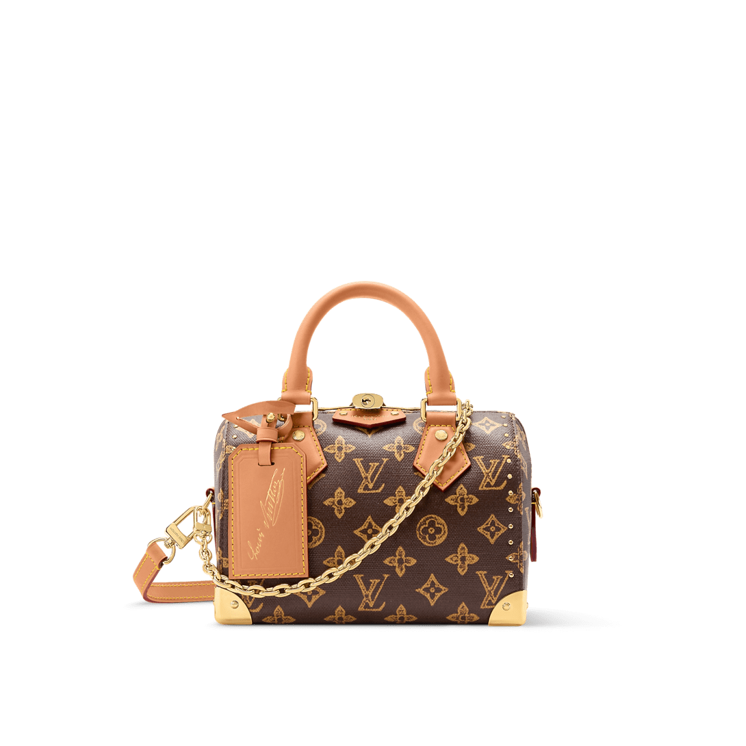 LOUIS VUITTON M28102 Speedy Trunk 20