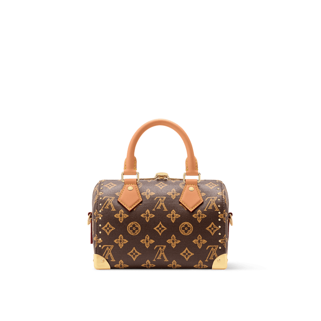 LOUIS VUITTON M28102 Speedy Trunk 20