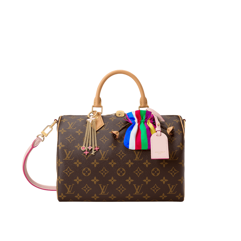 LOUIS VUITTON M26498 Speedy Soft 30