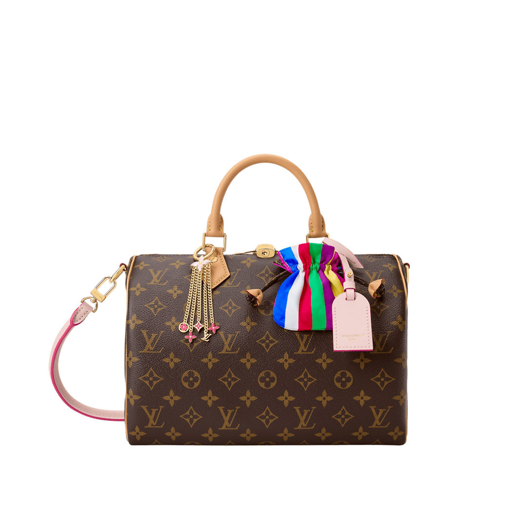 LOUIS VUITTON M26498 Speedy Soft 30