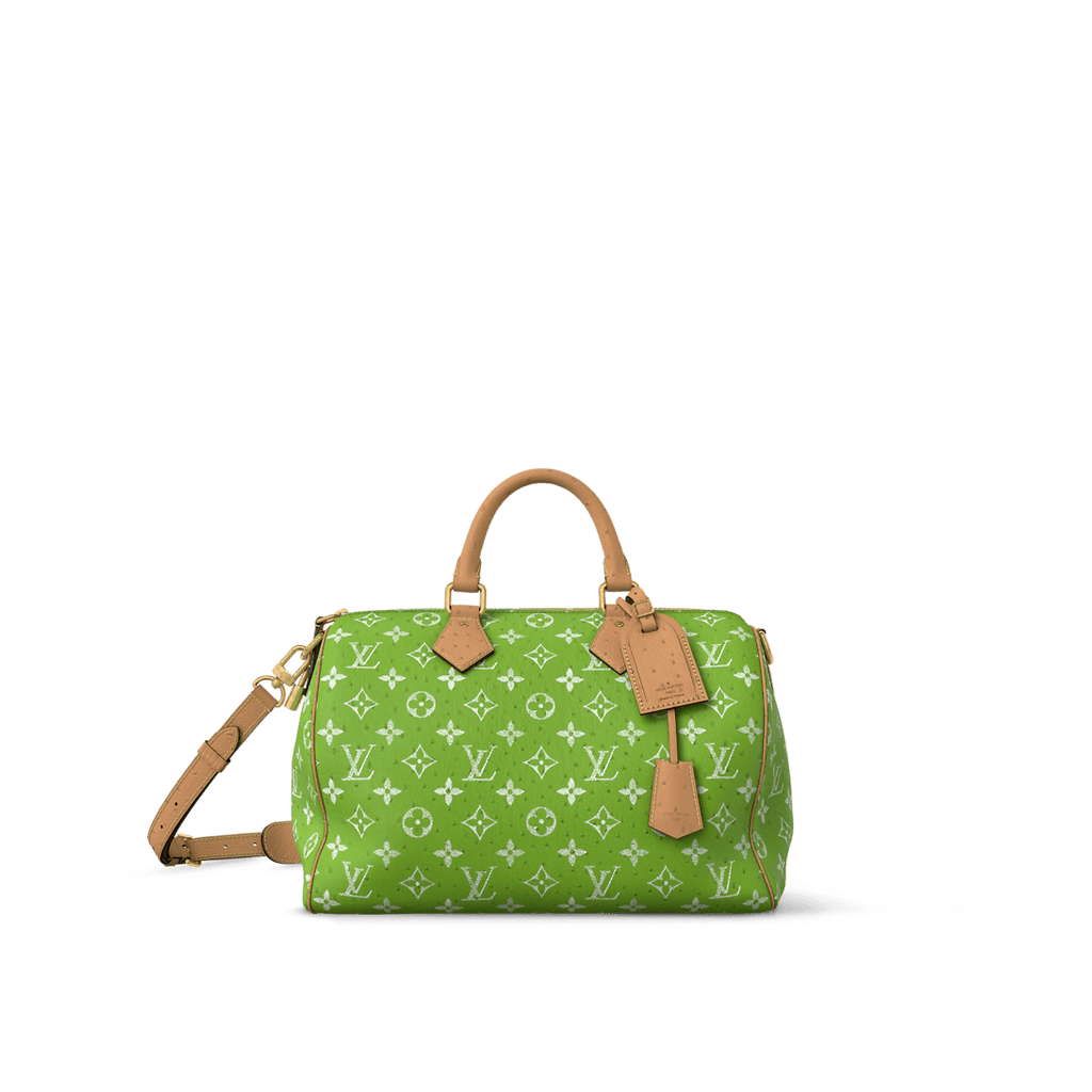 【Master quality】LOUIS VUITTON N88228 Speedy P9 40