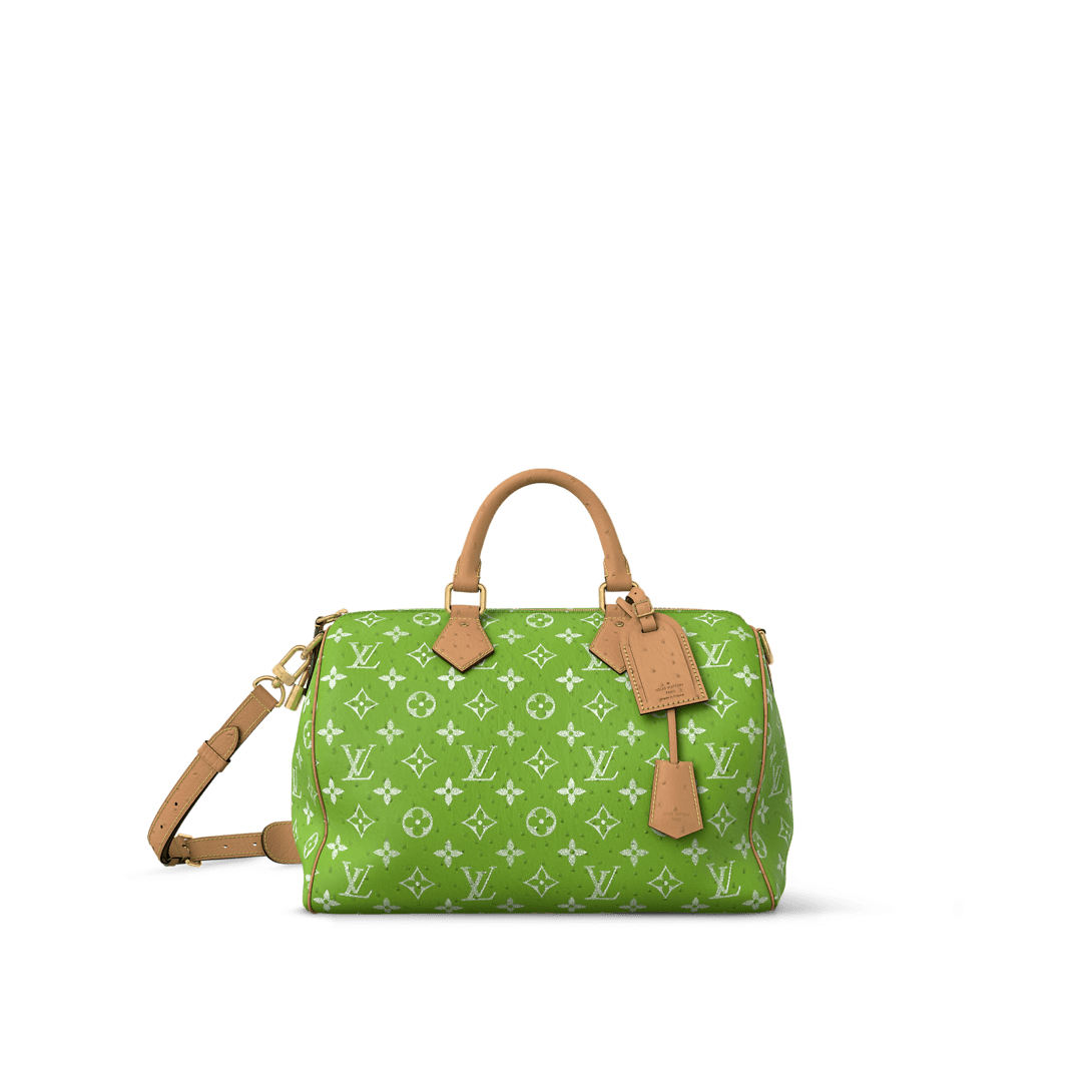 【Master quality】LOUIS VUITTON N88228 Speedy P9 40